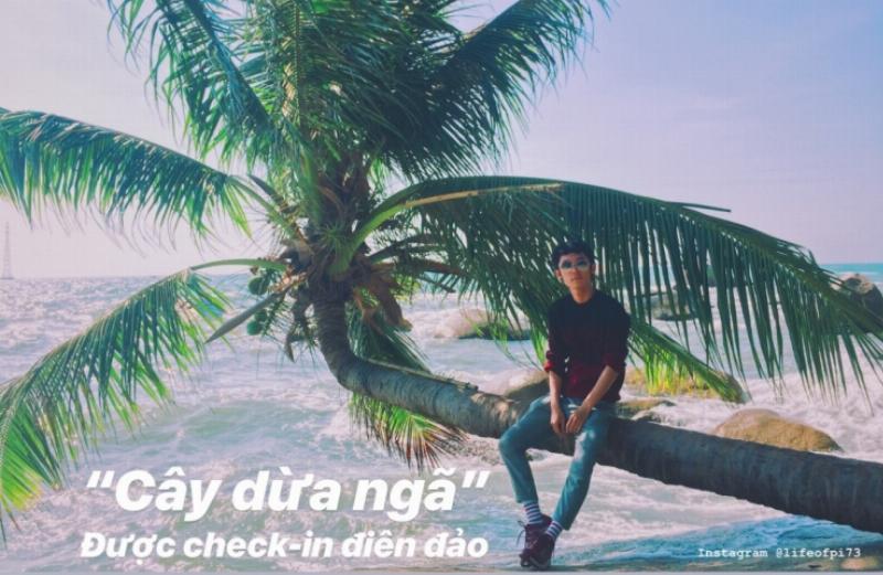 Cây dừa ngả nổi tiếng tại Bãi Bàng Hòn Sơn Kiên Giang, một điểm check-in không thể thiếu với biển xanh cát trắng.